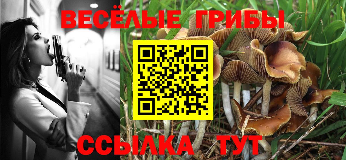 Галлюциногенные грибы Psilocybine cubensis  Вход с VPN  Нижний Тагил 